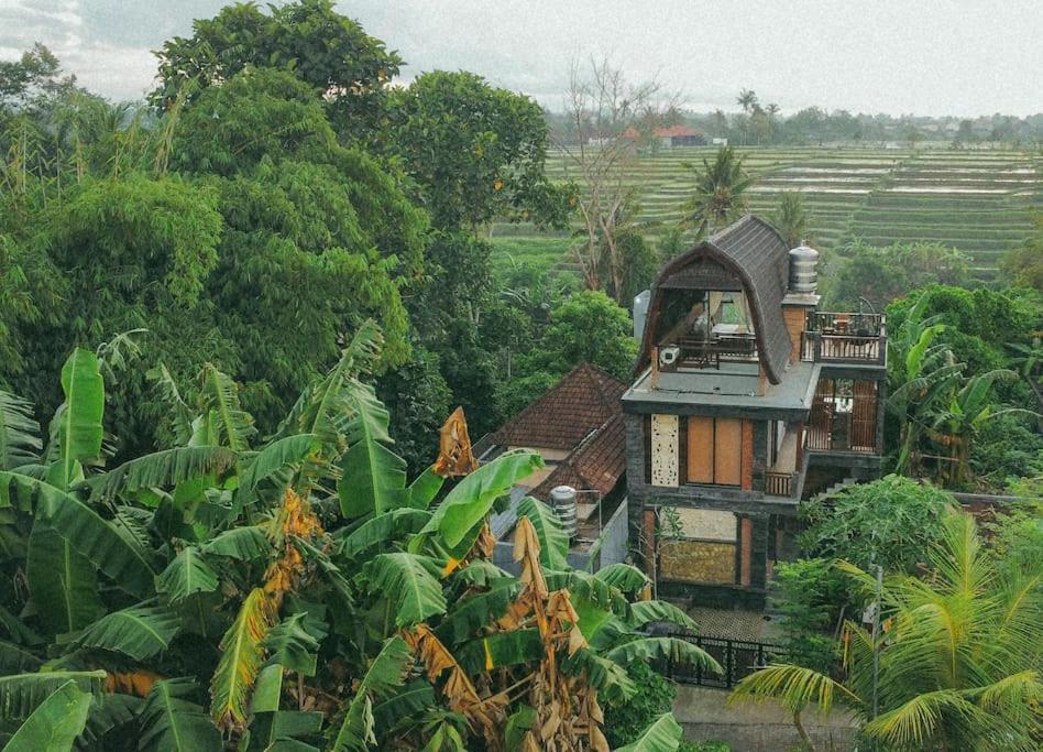 Tori Klumpu, 3 Bedroom Artistic Villa, Dual Views Near Ubud Regierungsbezirk Badung Exterior foto